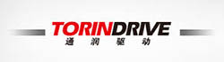 dummy-brand-1 (1)_0001_Torin Drive Logo