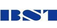 Shanghai BST Logo